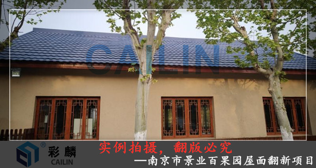 南京市景业百果园屋面翻新项目