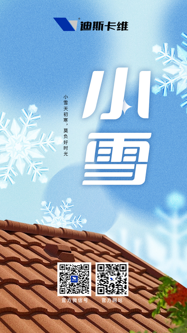 迪斯卡维小雪节气.jpg